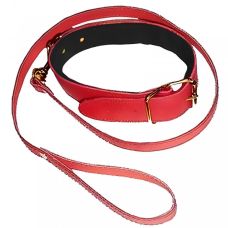 Нашийник з повідцем БДСМ червоного кольору DS Fetish Collar with leash red