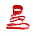 Ошейник с поводком БДСМ из искусственной кожи красного цвета DS Fetish Collar with leash red metal