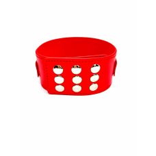 Нашийник з повідцем БДСМ зі штучної шкіри червоного кольору DS Fetish Collar with leash red metal