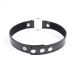Нашийник чорного кольору з металевим серцем та заклепками DS Fetish Collar with heart black metal Нашийник чорного кольору з металевим серцем та заклепками DS Fetish Collar with heart black metal