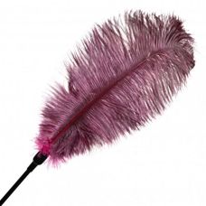 Перо для шалостей красное