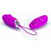 Виброяйцо с пультом ДУ фиолетовое Pretty Love Julia