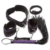 Набор БДСМ черно фиолетового цвета Bad Kitty 3 предмета