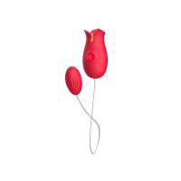 Двойной вибратор Виброяйцо и Вакуумный клиторальный стимулятор в виде цветка красного цвета Boss series Flower Love egg