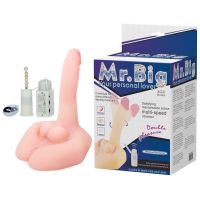 2 в 1 Мастурбатор вагина и реалистичный вибратор с функцией ротации Lybaile Mr BIG