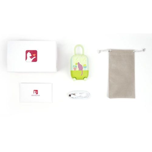 Подвійний смарт вібратор Віброяйце та Вакуумний стимулятор для клітора 2в1 у зарядному кейсі зелений BeYourLover Magic Suitcase