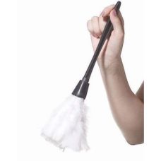 Щекоталка с белыми перышками DS Fetish 