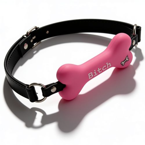 Кляп у рот у вигляді кістки з написом Bitch рожевий DS Fetish