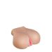 Мастурбатор реалистичный вагина и анус с вибрацией телесного цвета Dream Toys Beautiful Behind Мастурбатор реалистичный вагина и анус с вибрацией телесного цвета Dream Toys Beautiful Behind