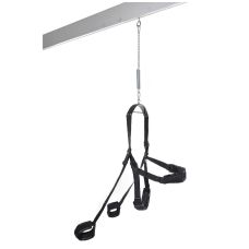 Гойдалка для стелі чорна Pipedream FF FANTASY SWING