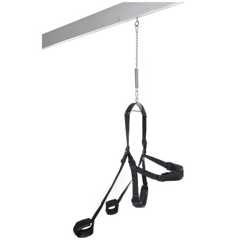 Гойдалка для стелі чорна Pipedream FF FANTASY SWING