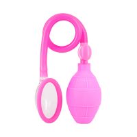Вакуумная помпа для вагины розоого цвета Dream Toys Clit Pump