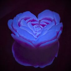 Свеча низкотемпературная люминесцентная фиолетовая GlowKink размер М