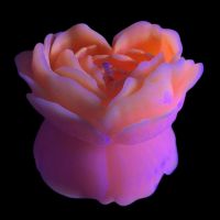 Свеча низкотемпературная люминесцентная персиковая GlowKink размер М
