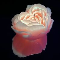 Свеча низкотемпературная оранжевая люминесцентная GlowKink размер М