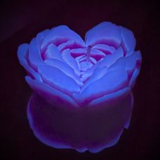 Свеча низкотемпературная люминесцентная фиолетовая GlowKink размер L