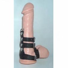 Кожаный черный фиксатор на половой член и для яичек