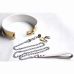 Ошейник в золотом цвете с поводком Steel Neck Collar Adjustable