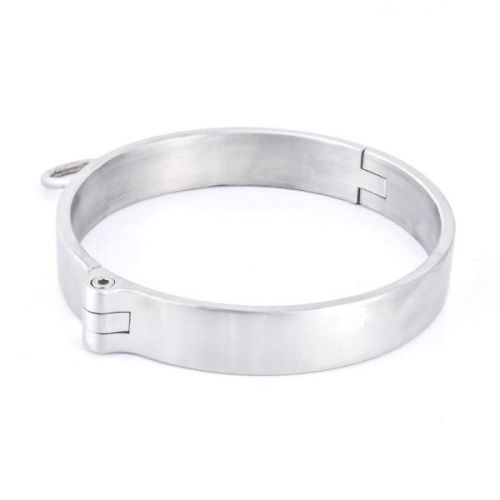 Stainless Steel New Style Male Collar