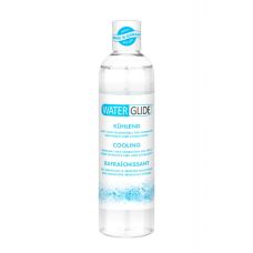 Лубрикант з охолоджуючим та поколюючим ефектами на водній основі Waterglide Cooling 300мл