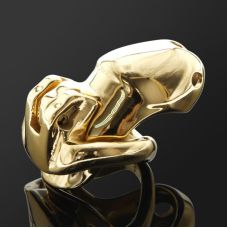 Пояс вірності на член чоловічий Gold Standless Steel HTV3 Nano золотистий