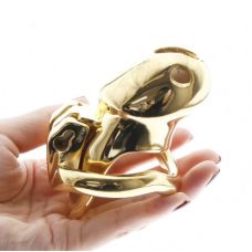 Пояс вірності чоловічий для БДСМ Gold Standless Steel HTV3 Small золотистий