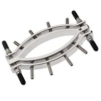 Зажимы для половых губ серебристого цвета Bdsm4u tease inside vision peep vagina