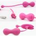 Вагинальные шарики Magic Motion Kegel Master GEN 2 PINK