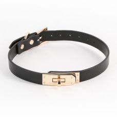 Нашийник чорний із золотистою фурнітурою NS Novelties Fetish & Fashion
