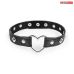 Ошейник черный с металлическими украшениями Notabu NTB-80557