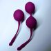 Набір вагінальних кульок для вправ Кегеля фіолетові Passion Play 2 штуки