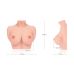 Мастурбатор полуторс грудь телесного цвета Kokos Bouncing Titties F