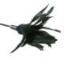 Метелочка ласка нежных мест Sportsheets - PLEASURE FEATHER BLACK Метелочка ласка нежных мест Sportsheets - PLEASURE FEATHER BLACK