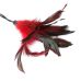 Метелочка ласкалка интимных мест Sportsheets - PLEASURE FEATHER RED Метелочка ласкалка интимных мест Sportsheets - PLEASURE FEATHER RED