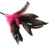 Метелочка интимная игра Sportsheets - PLEASURE FEATHER ROSE Метелочка интимная игра Sportsheets - PLEASURE FEATHER ROSE
