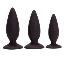 Набор анальных пробок Pornhub Anal Training Kit