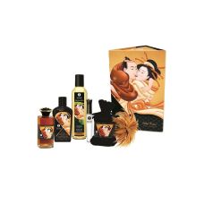 Подарочный интимный набор Shunga Sweet Kisses Kit