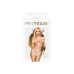 Трусики тонг с вырезом спереди кружевные белого цвета Penthouse Dangerous Darling размеры L XL Трусики тонг с вырезом спереди кружевные белого цвета Penthouse Dangerous Darling размеры L XL