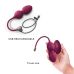 Вагинальные шарики с вибрацией и пультом ДУ сливового цвета Dorcel Love balls plum Вагинальные шарики с вибрацией и пультом ДУ сливового цвета Dorcel Love balls plum