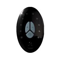 Запасной пульт ДУ для интимных игрушек черного цвета Adrien Lastic LRS