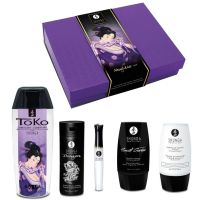 Подарунковий набір для сексу Shunga Naughtier Kit