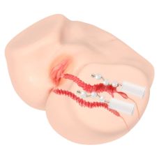 Мастурбатор Анус и Вагина с вибрацией и массажем телесного цвета Kokos 004 Vailla ONAHOLE Real Vagina 2WayPlus 