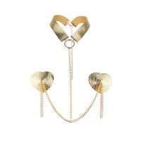 Пестис-сердечки с кисточками и чокером золотистые JSY Nipple Sticker модель RT236114 