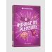 Подарунковий набір Lovehoney Indulge in Pleasure