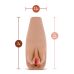 Мастурбатор вагина с вибрацией телесного цвета Blush Renata Tan