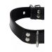Ошейник БДСМ с фиксаторами черного цвета Taboom Ошейник БДСМ с фиксаторами черного цвета Taboom
