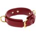 Ошейник БДСМ с фиксаторами красного цвета Taboom Ошейник БДСМ с фиксаторами красного цвета Taboom