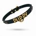 Чокер із написом PUPPY з італійської шкіри чорний із золотою фурнітурою UPKO