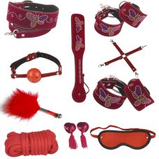 Набор БДСМ красного цвета Hision Red Domination 10 предметов