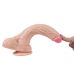 Фаллоимитатор 15/4 см реалистичный на присоске телесный с мошонкой XISE Holy Dragon